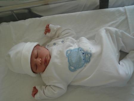 Une petite crevette !