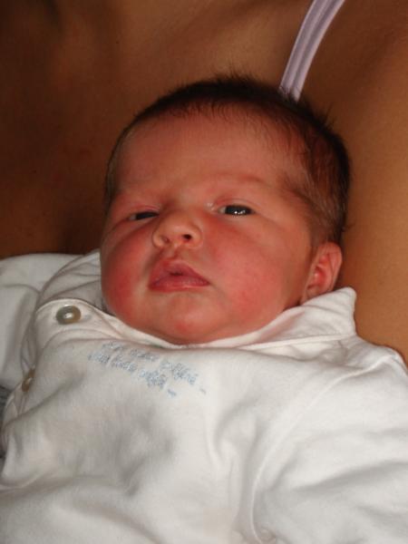 Mes petites copines de Lille