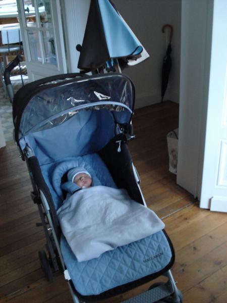 Pr�t pour la ballade dans ma poussette de comp�tition !